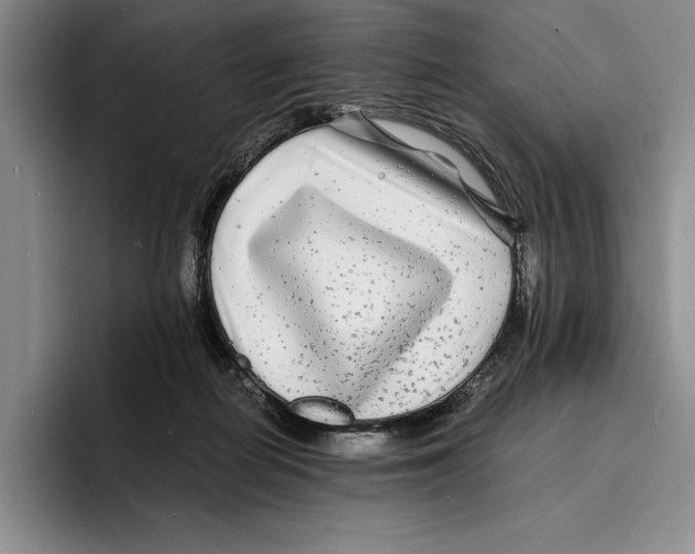 X0000096380266200802211127