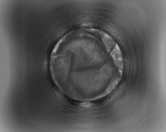 X0000096380269200802211127