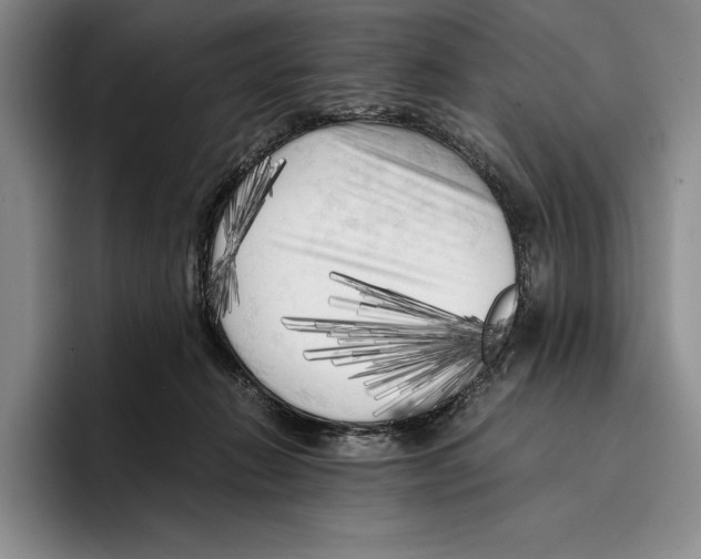 X0000096380270200802211127