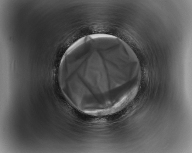 X0000096380271200802211127