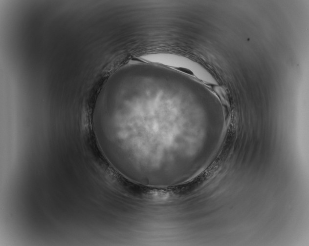 X0000096380272200802211127