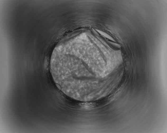 X0000096380273200802211127