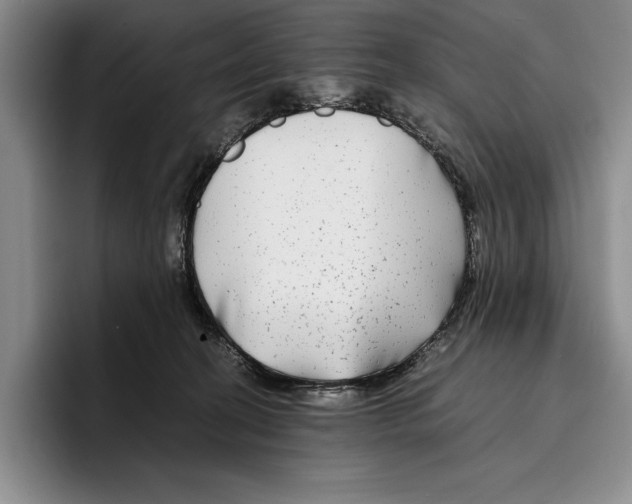 X0000096380274200802211127