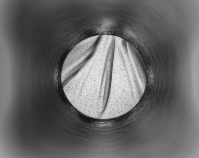 X0000096380275200802211127