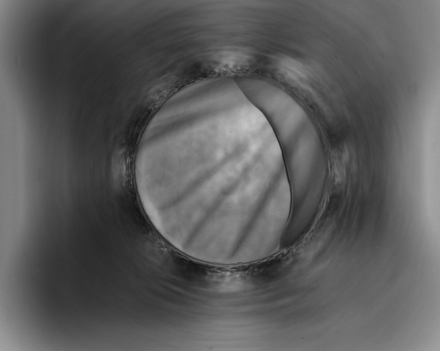 X0000096380276200802211127