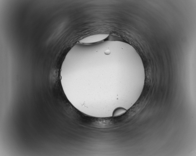 X0000096380278200802211127