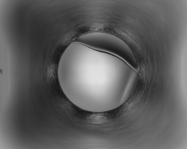 X0000096380280200802211127