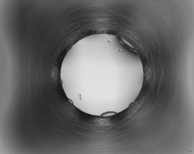 X0000096380283200802211127