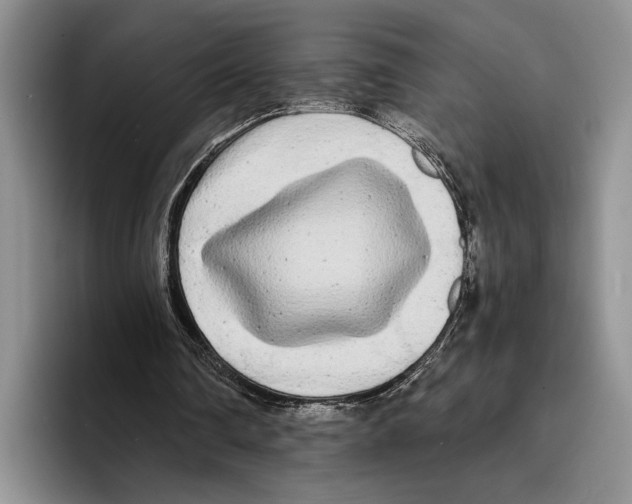 X0000096380290200802211127