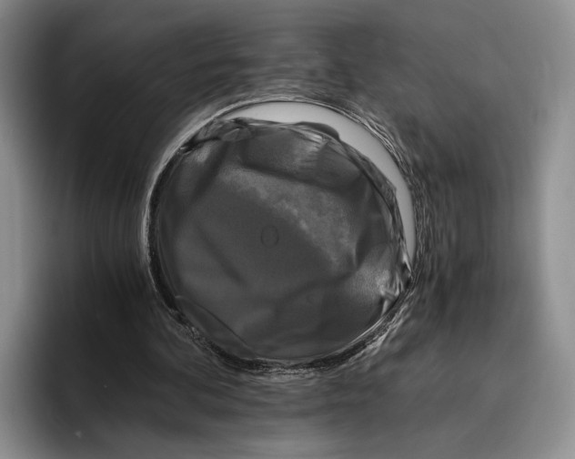 X0000096380292200802211127