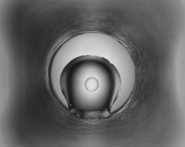 X0000096380293200802211127