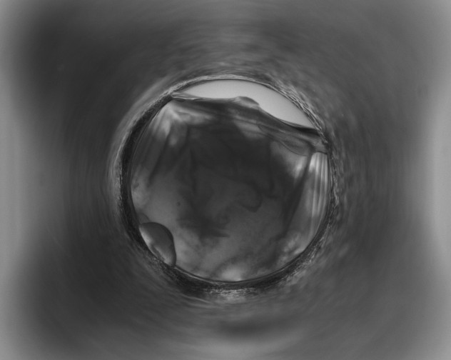 X0000096380295200802211127