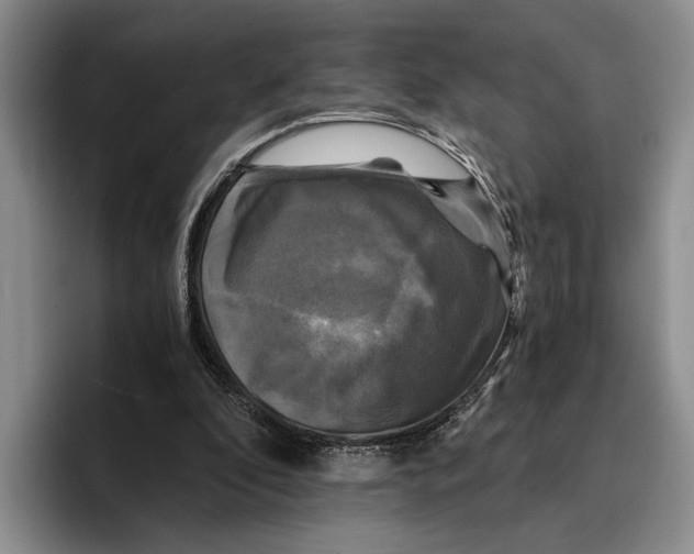 X0000096380296200802211127