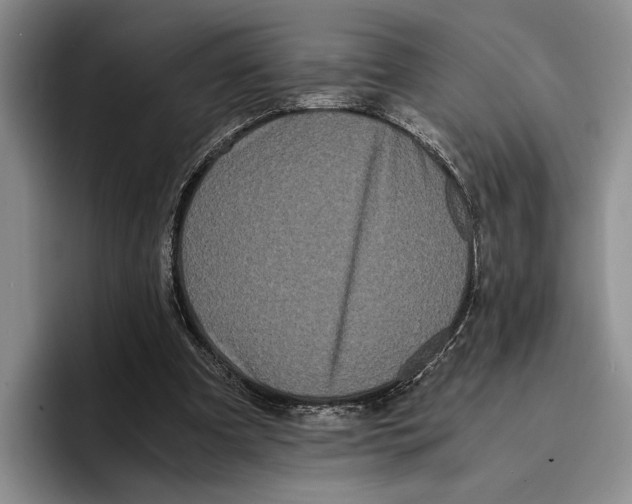 X0000096380297200802211127