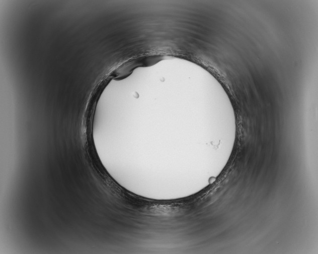 X0000096380298200802211127