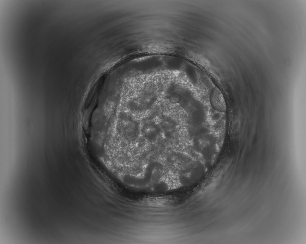 X0000096380299200802211126