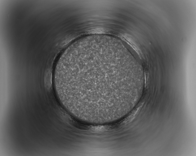 X0000096380301200802211126