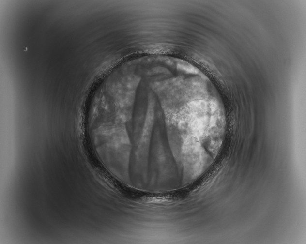 X0000096380303200802211126