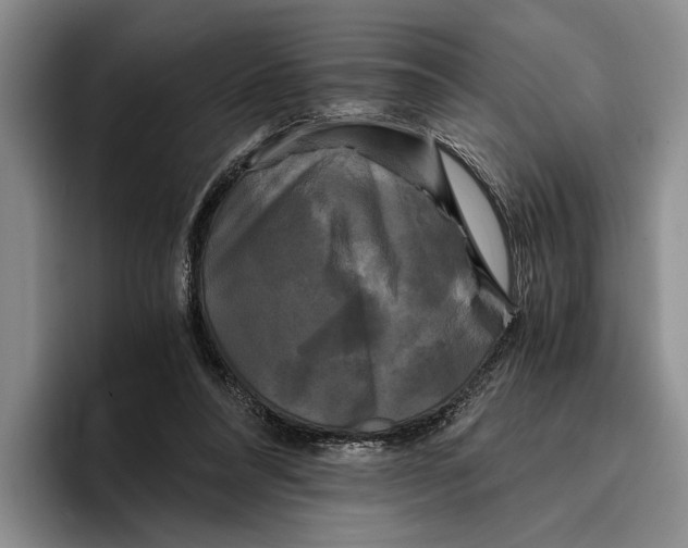 X0000096380304200802211126