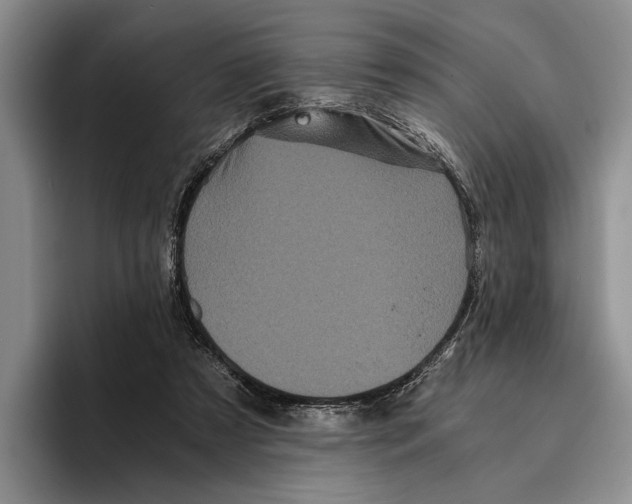 X0000096380305200802211126