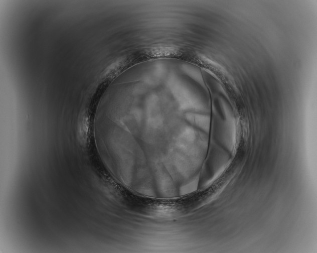 X0000096380308200802211126