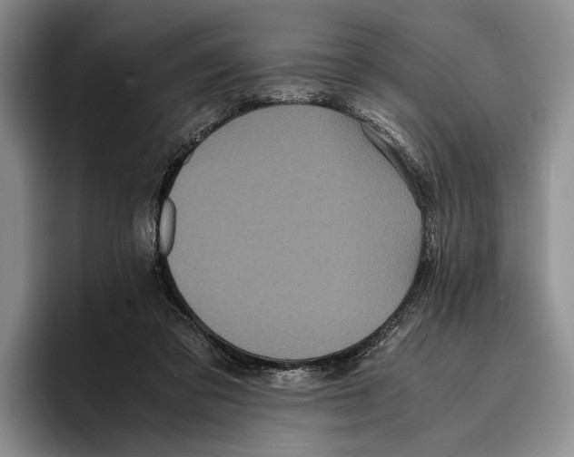 X0000096380309200802211126