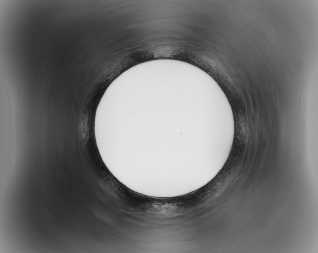 X0000096380311200802211126