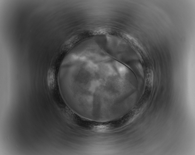 X0000096380312200802211126