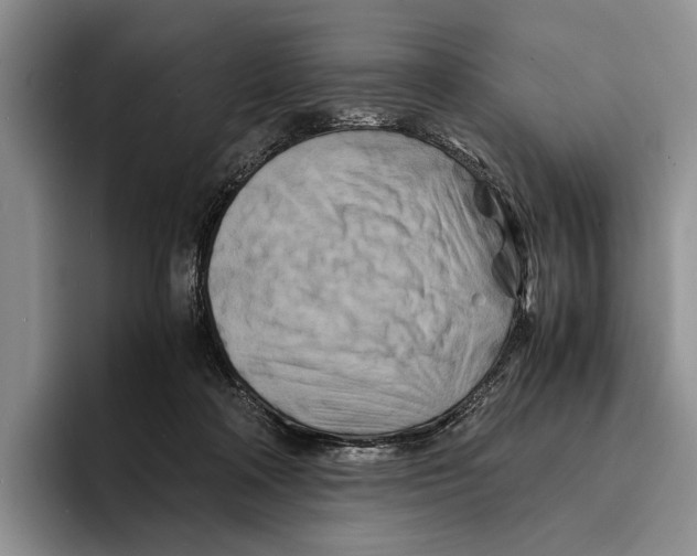 X0000096380314200802211126