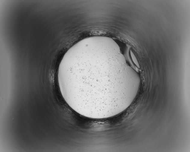 X0000096380315200802211126