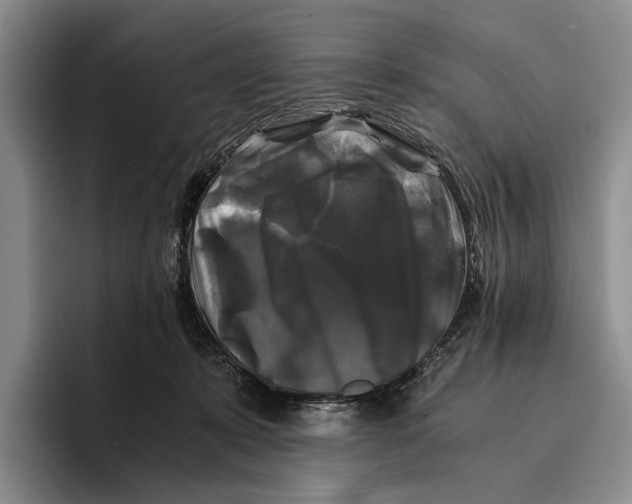 X0000096380319200802211126