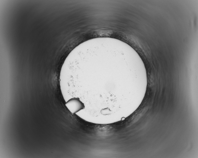 X0000096380321200802211126