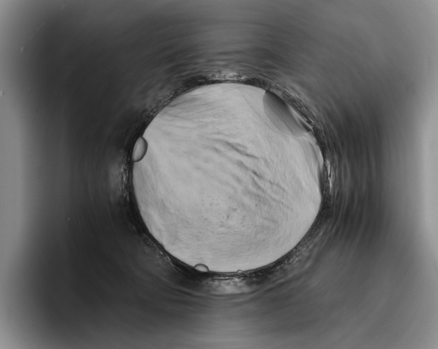 X0000096380322200802211126