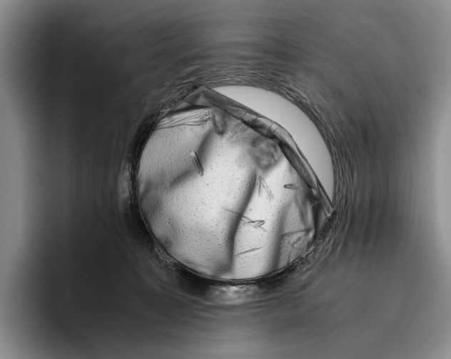 X0000096380323200802211126