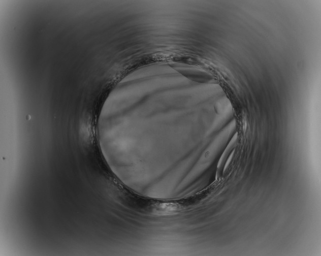 X0000096380324200802211126