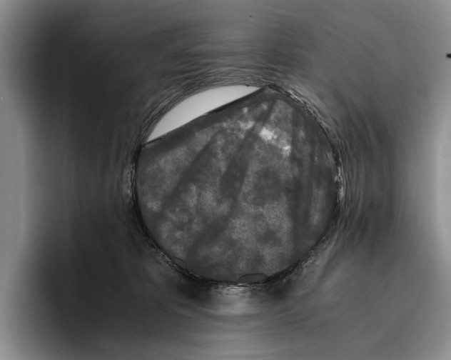 X0000096380325200802211126