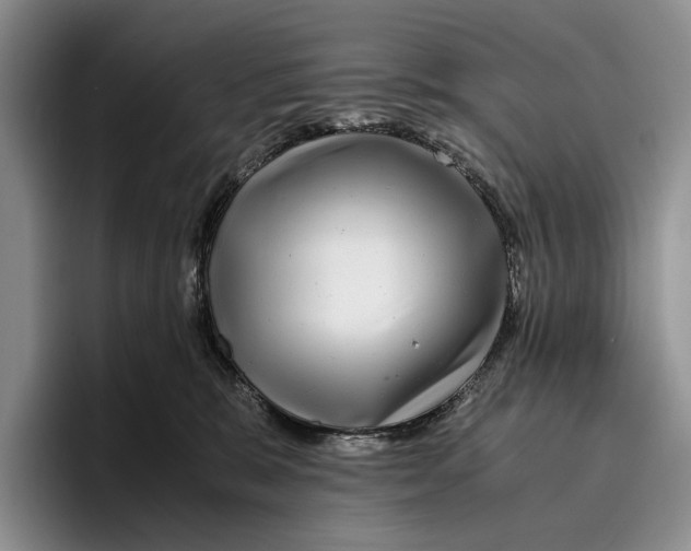 X0000096380327200802211126