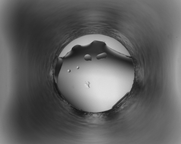 X0000096380329200802211126