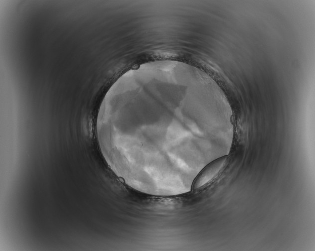 X0000096380330200802211126