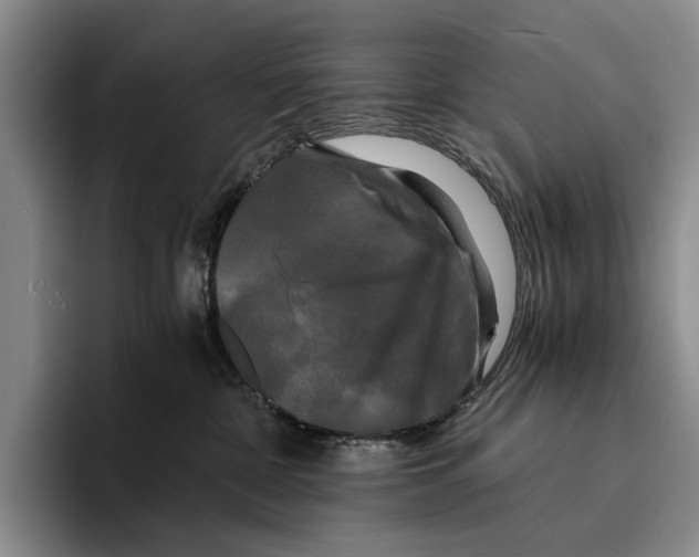 X0000096380332200802211126