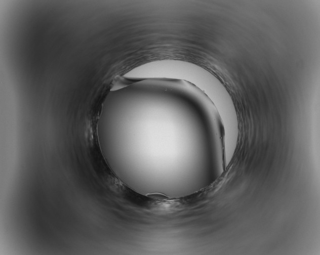 X0000096380333200802211126