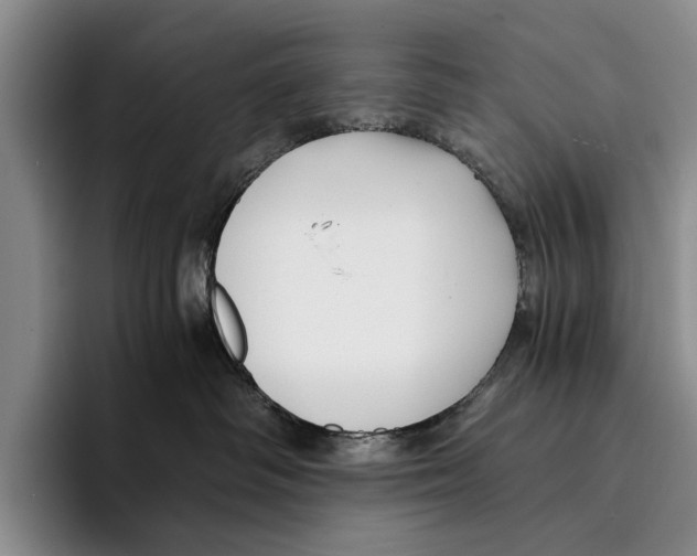 X0000096380334200802211126