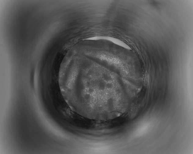 X0000096380335200802211126