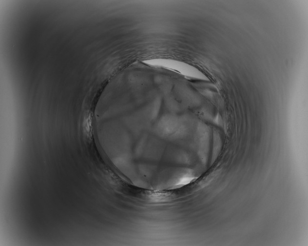 X0000096380336200802211126