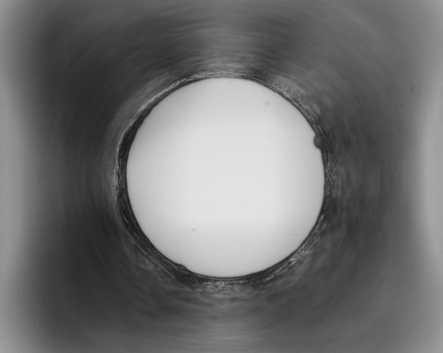 X0000096380338200802211125