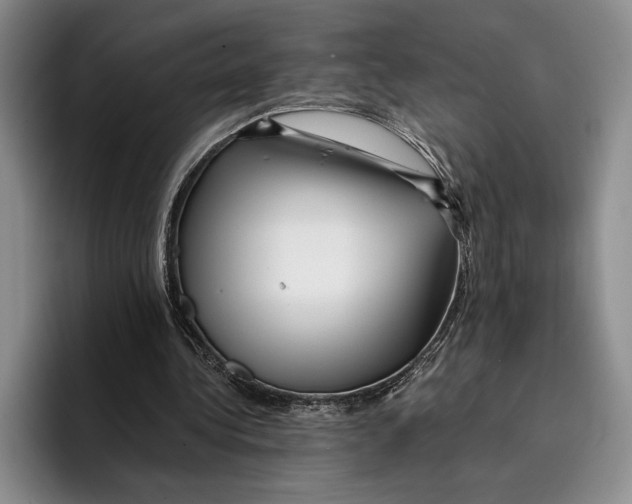 X0000096380340200802211125