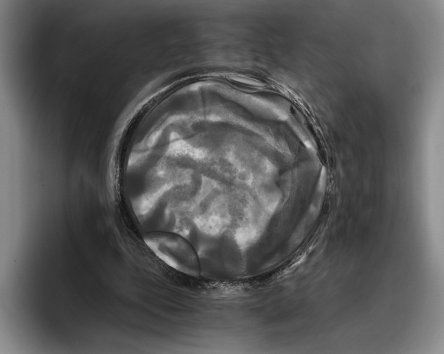 X0000096380343200802211125