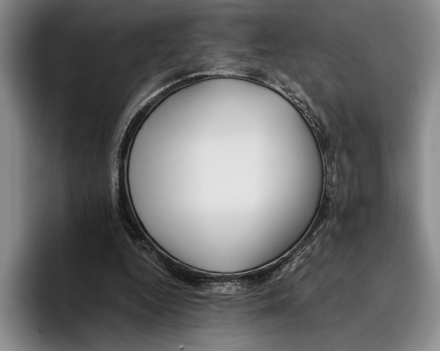 X0000096380344200802211125