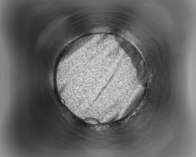 X0000096380345200802211125