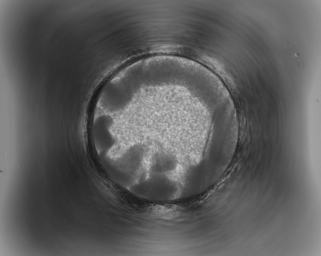 X0000096380346200802211126